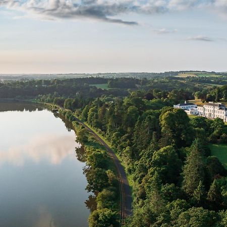 The Forest At Mount Congreve Gardens Kilmeaden Luaran gambar