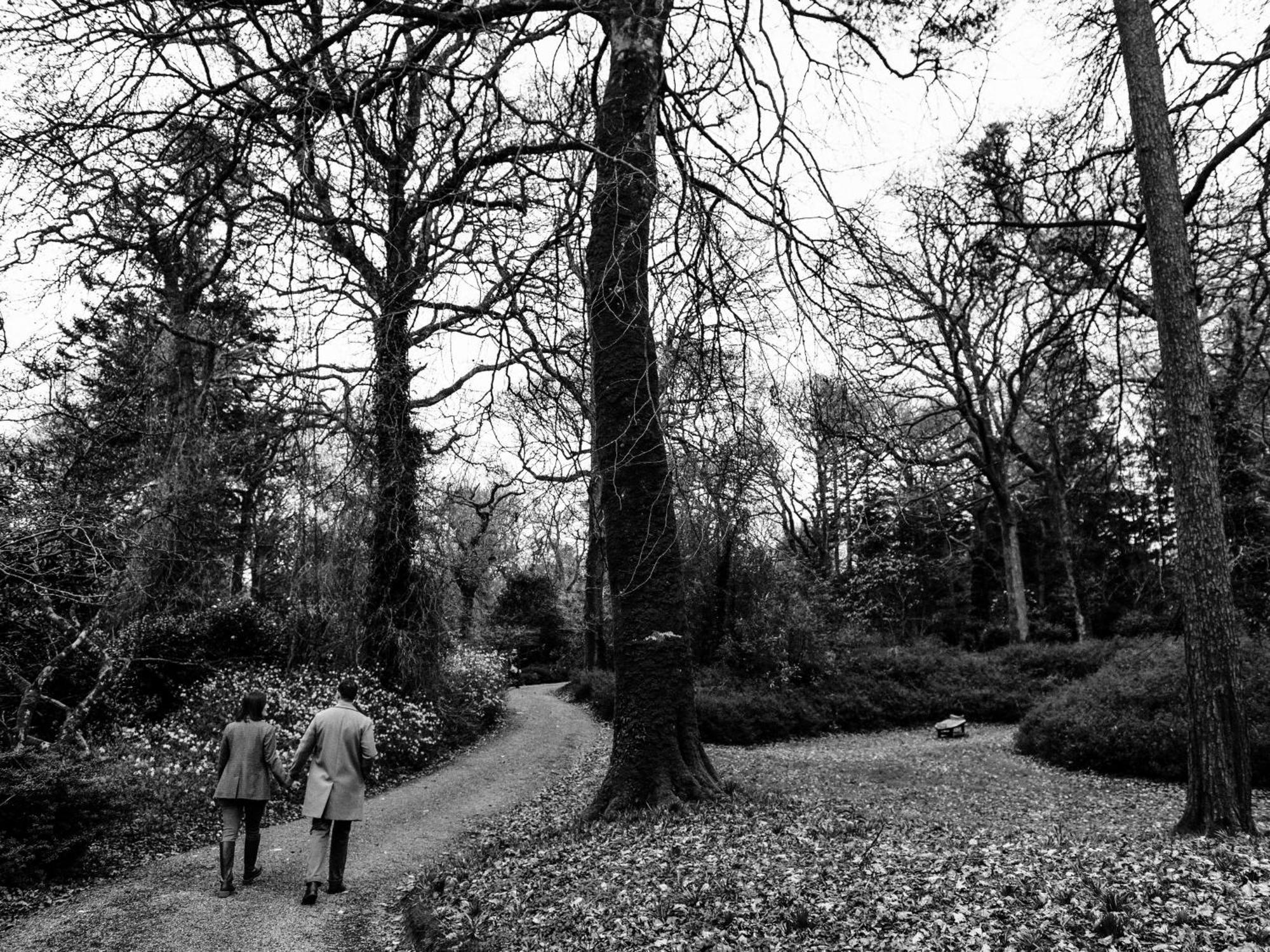 The Forest At Mount Congreve Gardens Kilmeaden Luaran gambar